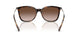 821313 - Tortoise - Brown Gradient Dark Brown