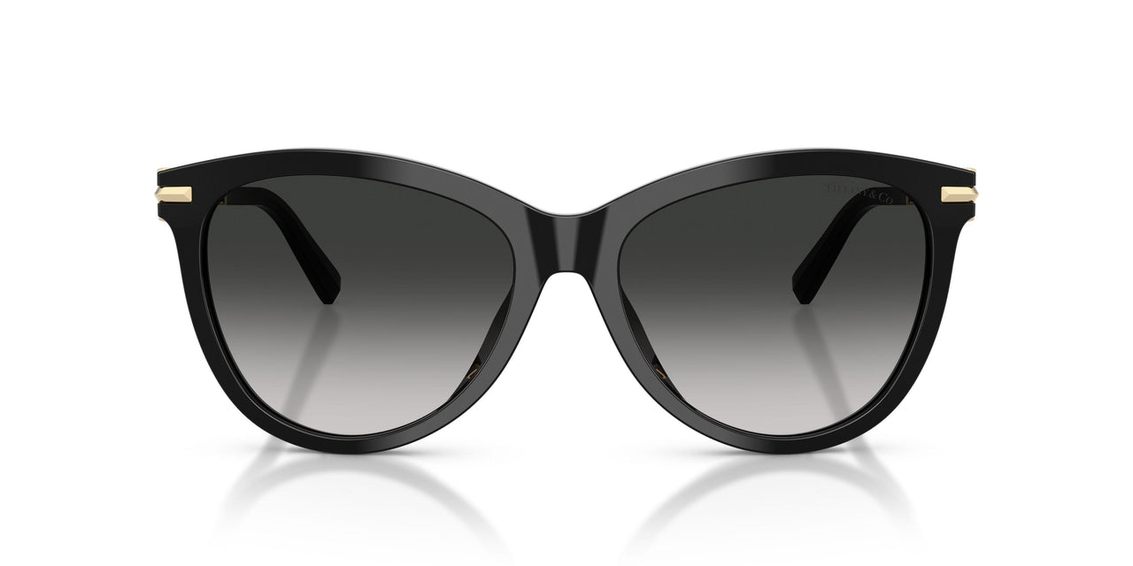 80013C - Black - Grey Gradient