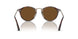 24/57 - Havana - Polar Brown