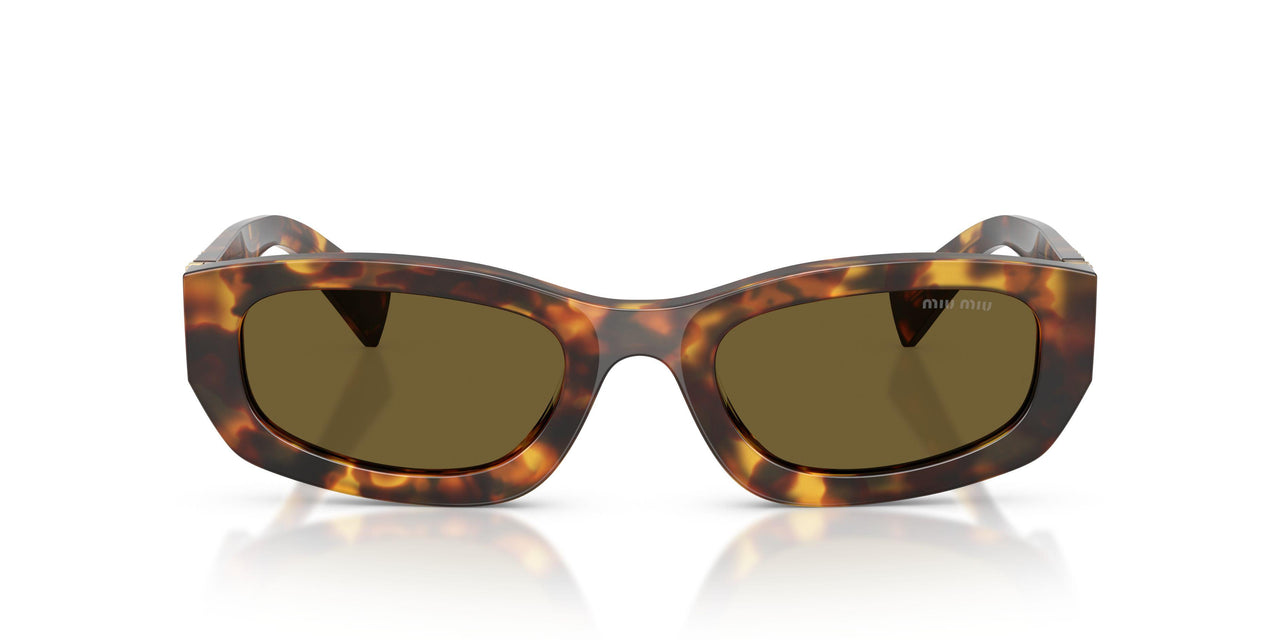 14L09Z - Tortoise - Dark Brown