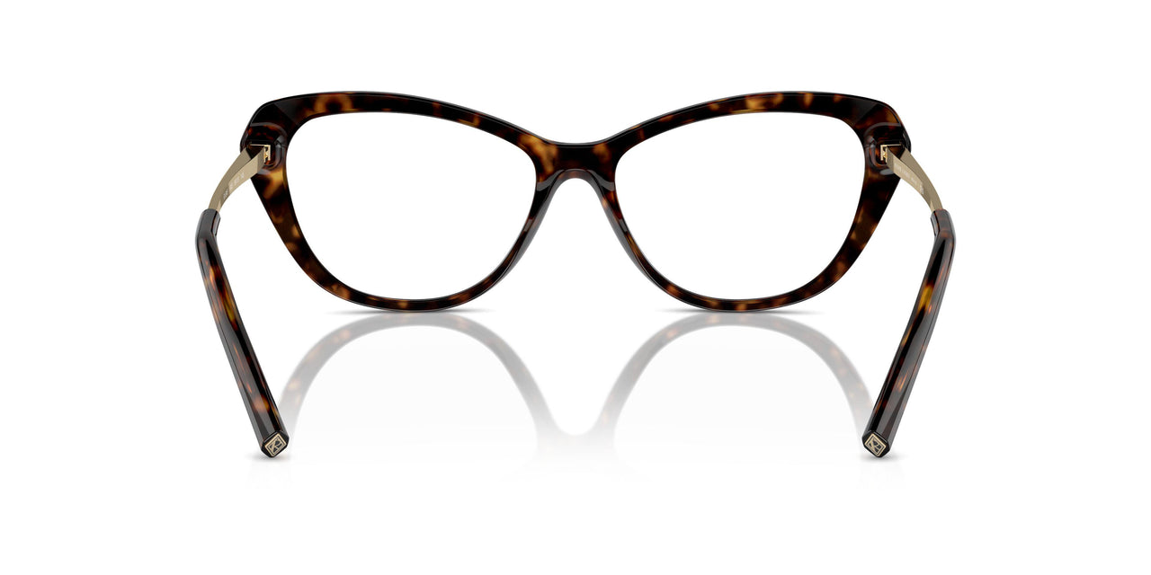 5003 - Brown