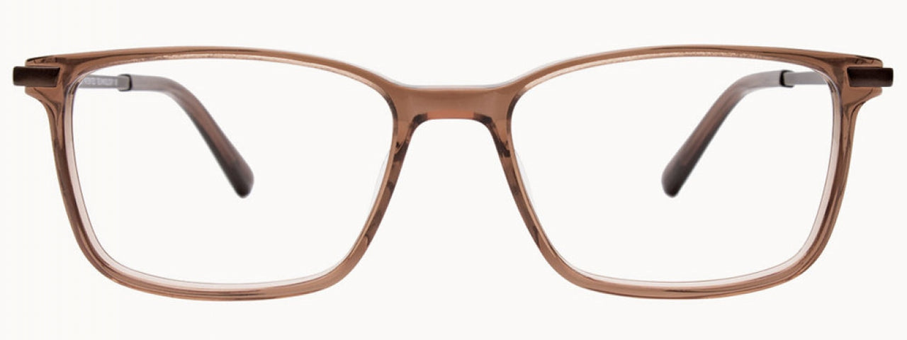 10 - Satin Brown & Shiny Blue/Brown Tortoise