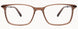 10 - Satin Brown & Shiny Blue/Brown Tortoise