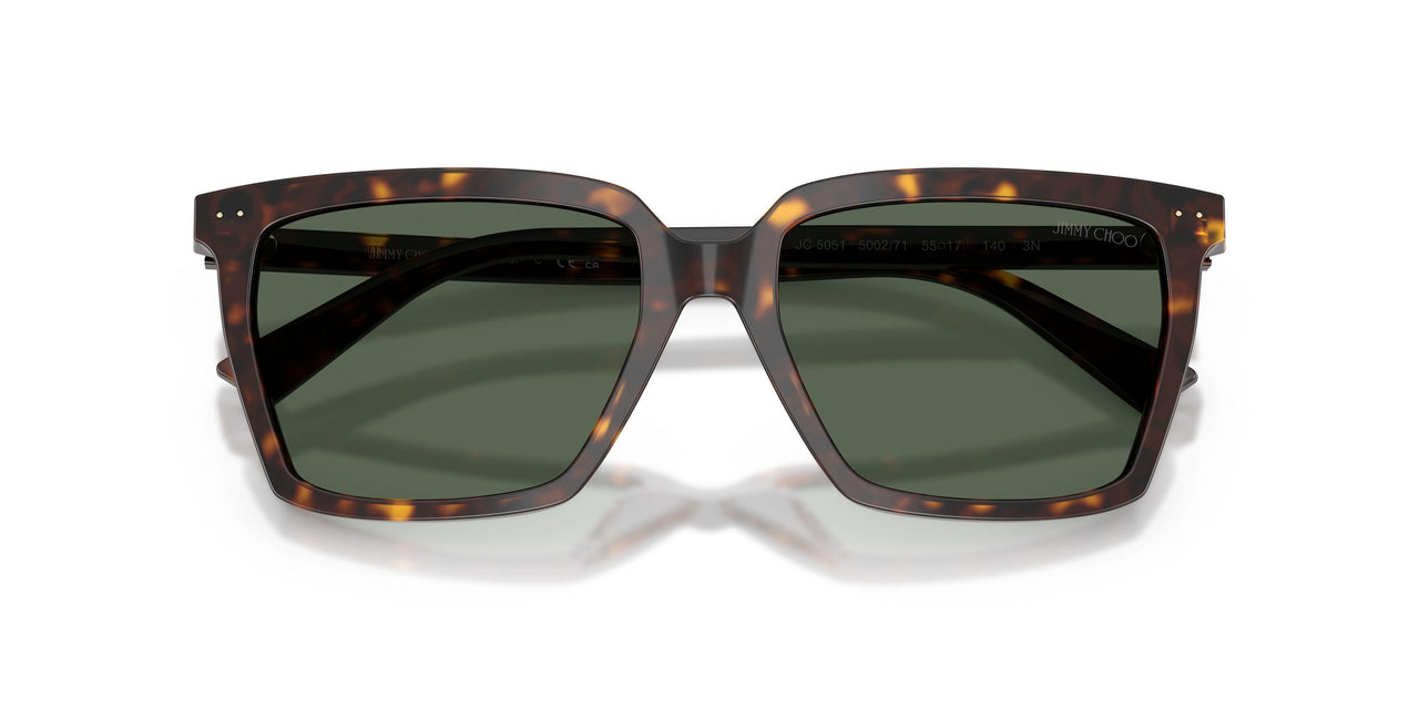 500271 - Tortoise - Dark Green