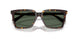 500271 - Tortoise - Dark Green