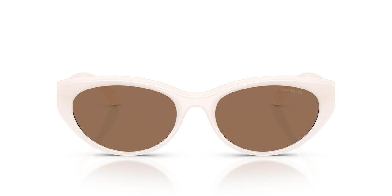 579073 - White - Brown Solid