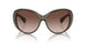 147313 - Brown - Umber Gradient