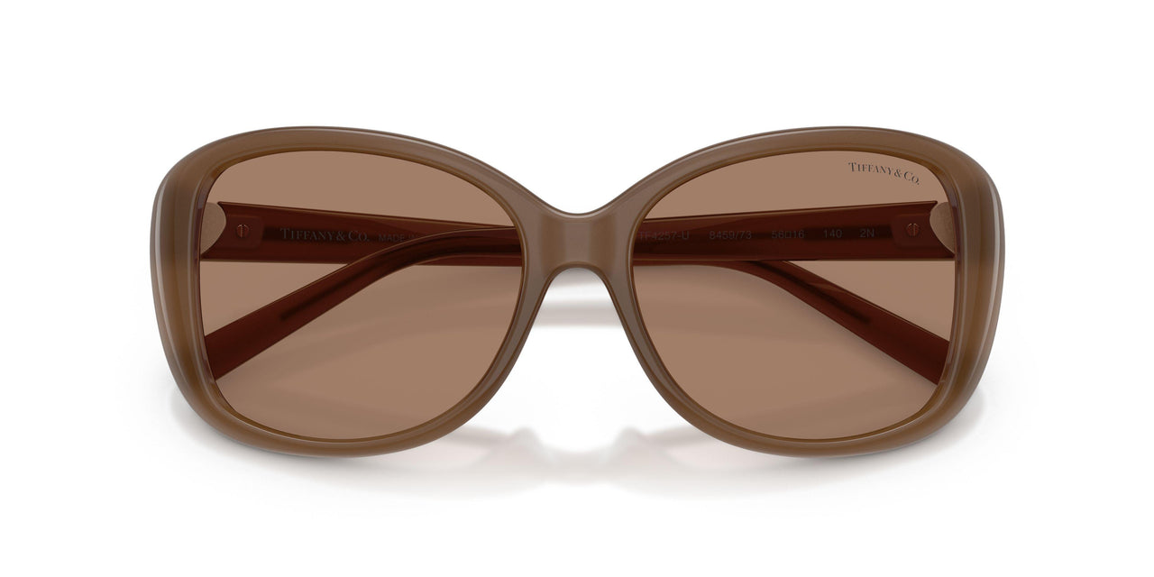 845973 - Brown - Solid Brown