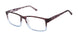 New Globe M449 Eyeglasses