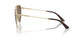300673 - Gold - Dark Brown