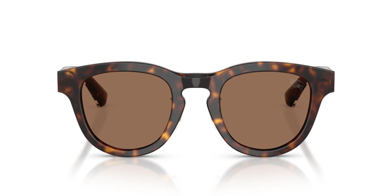 420573 - Brown - Dark Brown