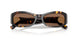 198173 - Tortoise - Brown