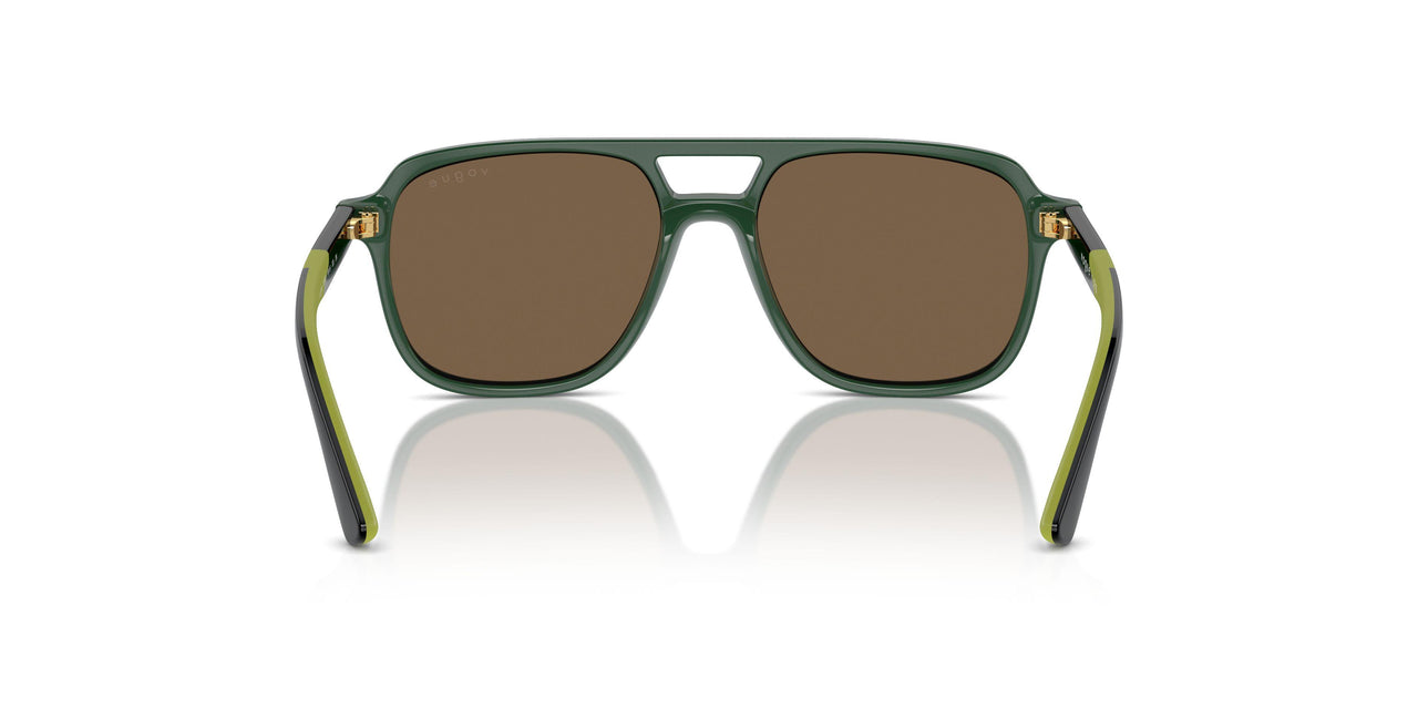 312673 - Green - Dark Brown