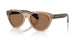 303773 - Brown - Dark Brown