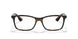 5573 - Tortoise - Clear