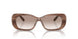 307113 - Brown Horn - Clear Gradient Brown