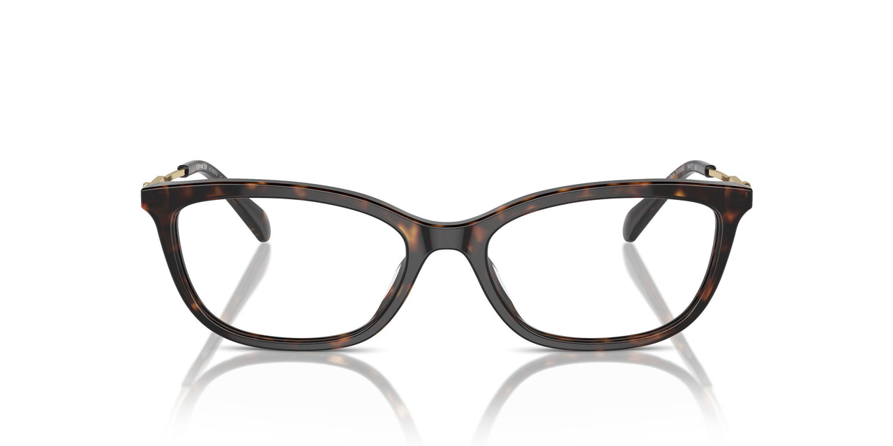 5120 - Tortoise