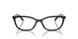 5120 - Tortoise