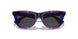 411387 - Violet - Dark Grey