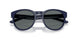 275481 - Blue - Dark Grey Polarized