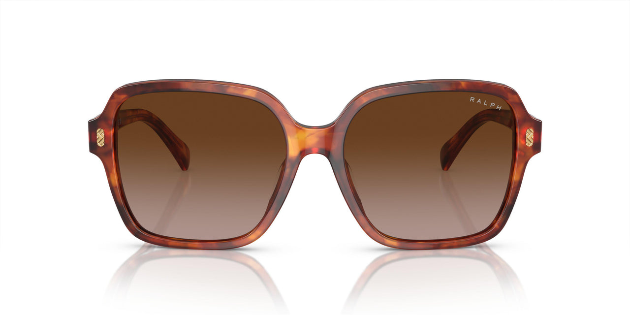 601113 - Orange - Gradient Brown