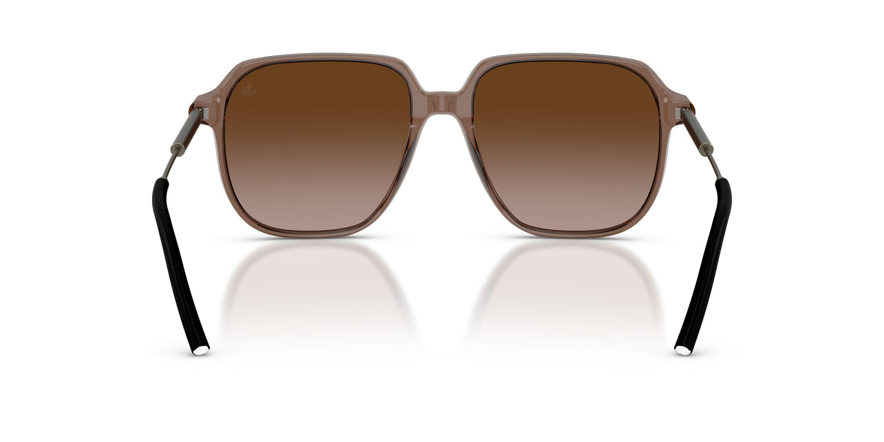 301813 - Brown - Gradient Brown