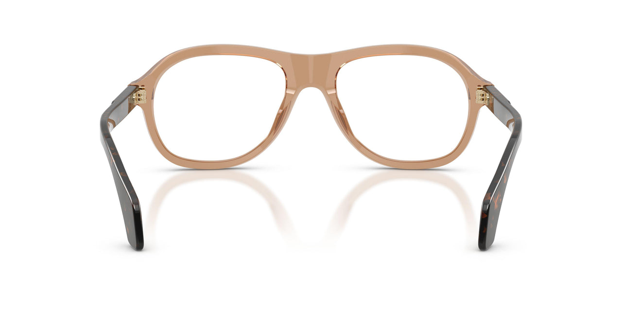 3037 - Brown