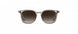 8630 - BEIGE/BROWN - SLM Dark Brown Gradient