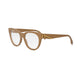 045 - Shiny Brown - DEMO