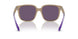 83421A - Brown - Violet