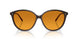177278 - Brown - Cognac Gradient