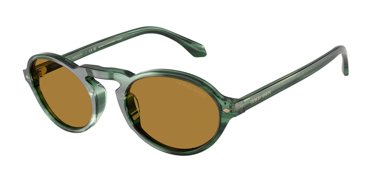 616453 - Green - Brown