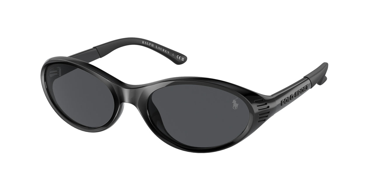 Polo 4197U Sunglasses