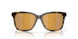 200917 - Tortoise - Gold Mirror