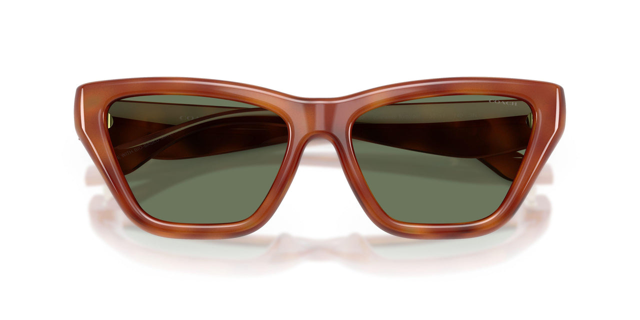 577482 - Tortoise - Green Solid