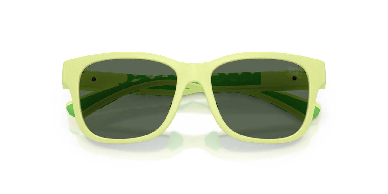 423771 - Green - Dark Green
