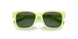 423771 - Green - Dark Green