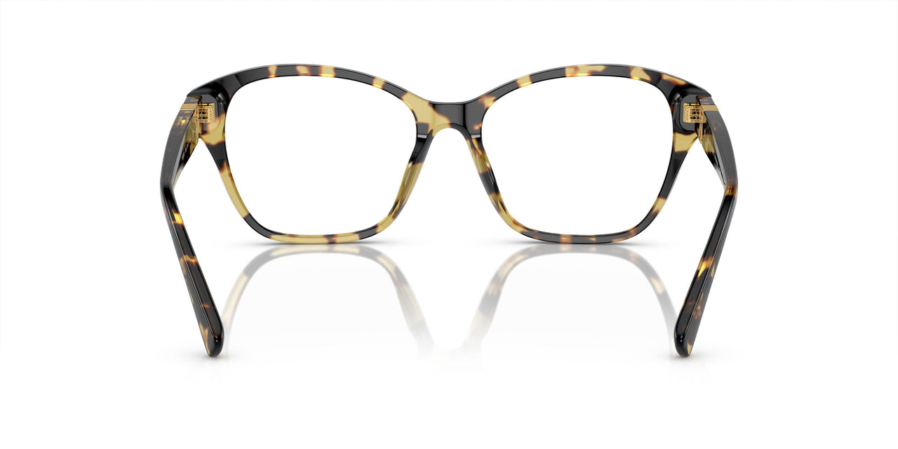 5004 - Tortoise