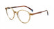 BRHV - Brown Havana