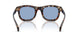 304880 - Tortoise - Solid Light Blue