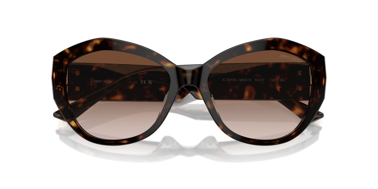 500213 - Tortoise - Gradient Brown