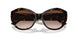 500213 - Tortoise - Gradient Brown