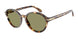 623214 - Tortoise - Green