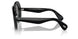 100581 - Black - Grey Polarized