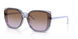 292568 - Violet - Violet Gradient Brown