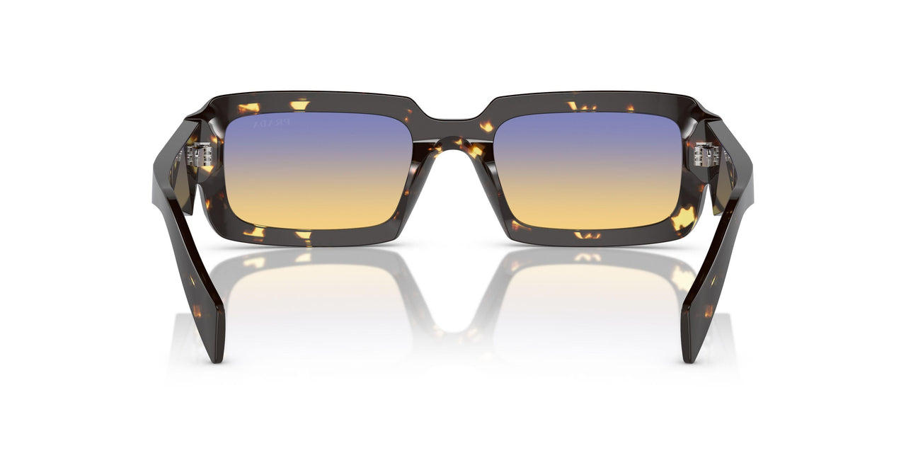 16O50E - Brown - Clear Fifty Yellow/dark Blue