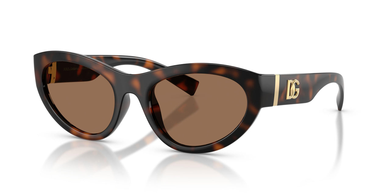 502/73 - Tortoise - Dark Brown