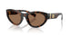 502/73 - Tortoise - Dark Brown