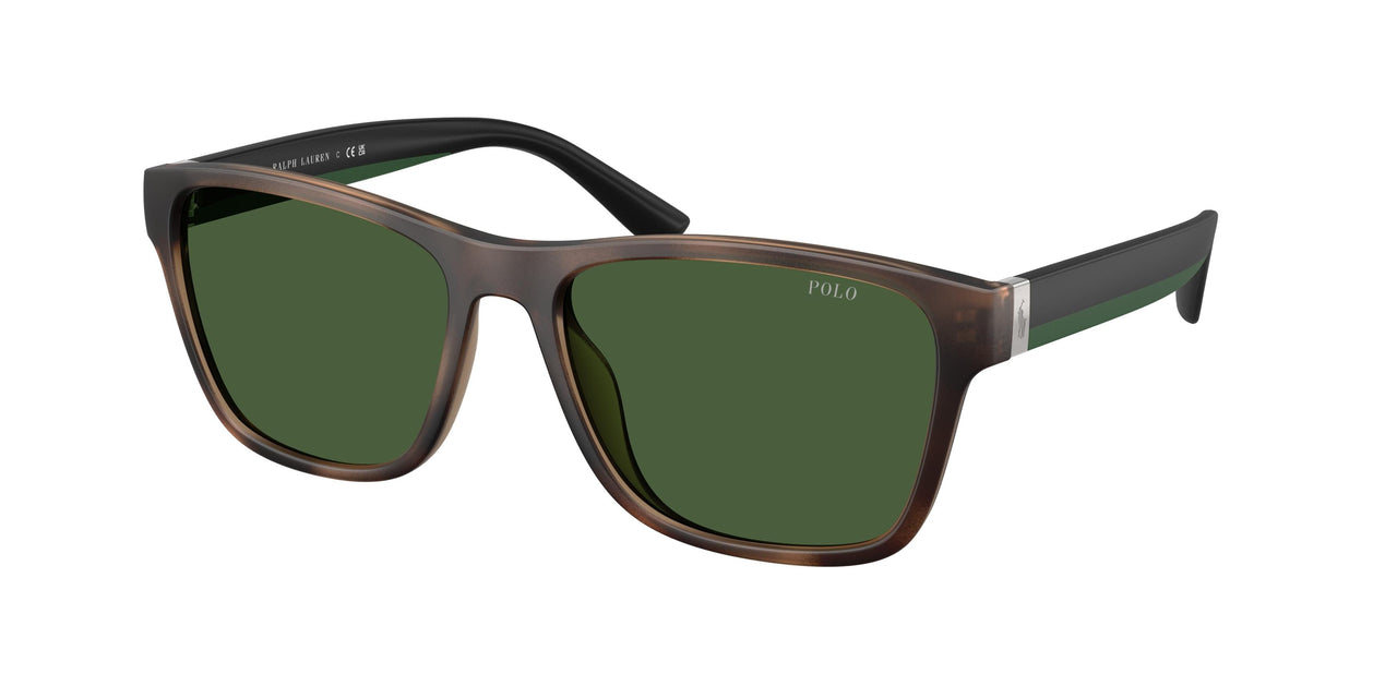 Polo 4229U Sunglasses
