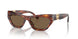 500773 - Brown - Brown